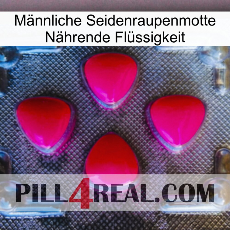 Männliche Seidenraupenmotte Nährende Flüssigkeit 13
